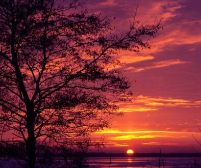 Zonsondergang Belterwijde - foto Ronald Messemaker