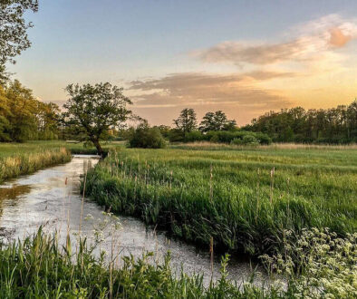 oudemolensche diep - foto T. Manak