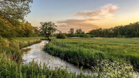 oudemolensche diep - foto T. Manak