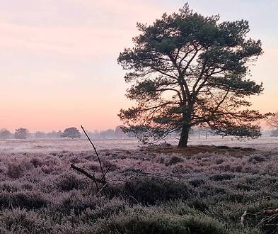Drentsche Aa herfst groote zand - Foto NP