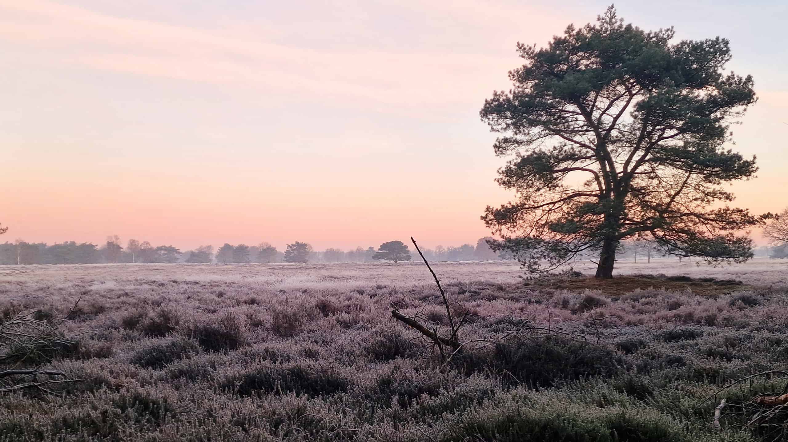 Drentsche Aa herfst groote zand - Foto NP