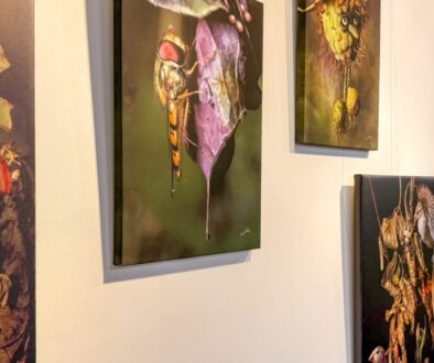 Expositie-Oog-in-oog-met-het-insectenrijk