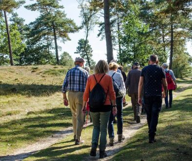 Seizoenswandeling - foto aangeleverd