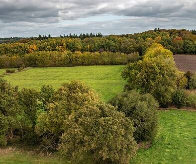 landschapselementen - foto Staatsbosbeheer