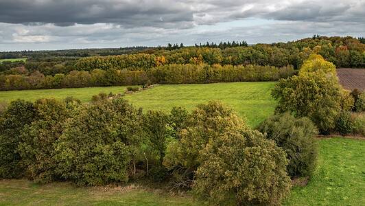 landschapselementen - foto Staatsbosbeheer landschapselementen - foto Staatsbosbeheer
