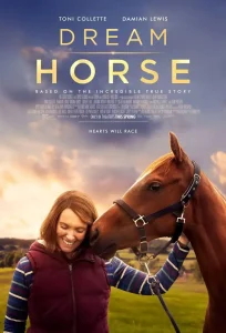 Dream horse - foto aangeleverd