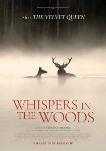 Whispers in the Woods - foto aangeleverd