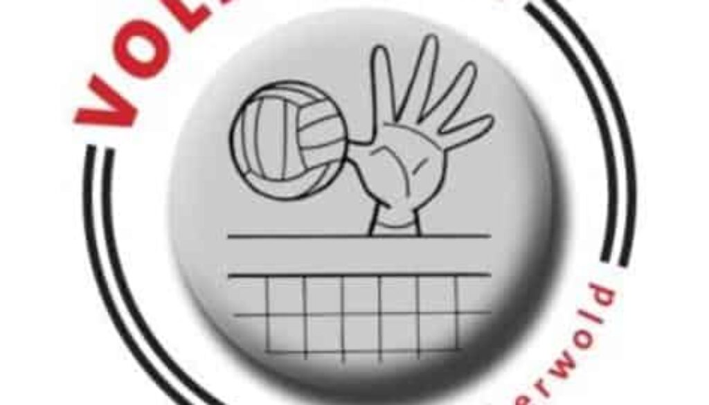 volleybal tijdelijk-page-001