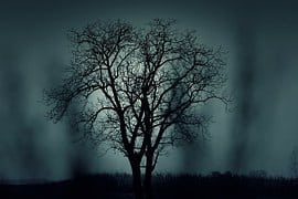 nacht (Foto Pixabay)