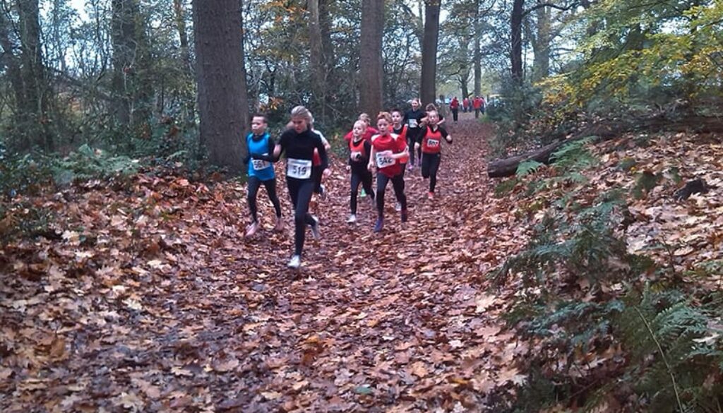 Start '78 Bosloop 15 nov 2014 1