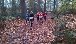 Start '78 Bosloop 15 nov 2014 1