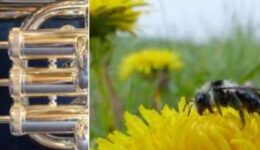 tijdelijk-page-001 (Foto Pixabay)