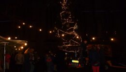 Dickens 2014