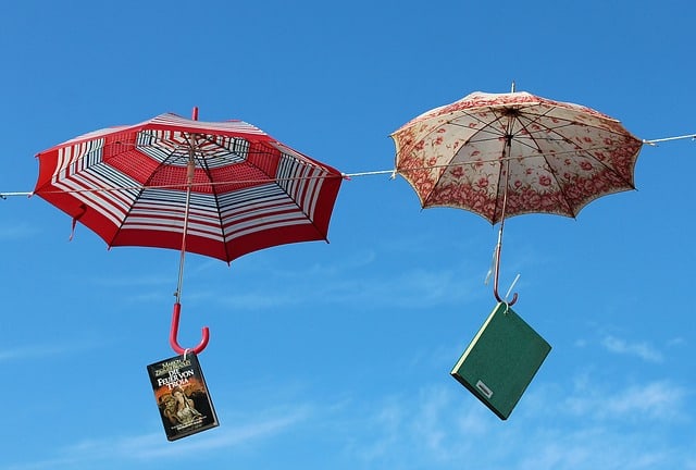 boeken (Foto Pixabay)