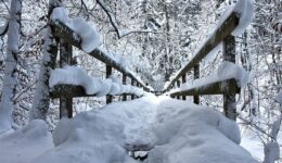 brug sneeuw (Foto Pixabay)