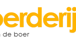 logo41