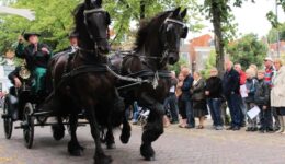 Ringrijden Blokzijl - foto aangeleverd (Foto Pixabay)