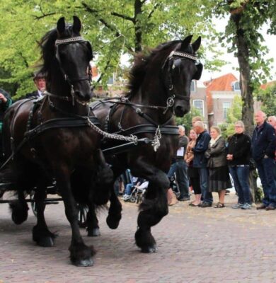 Ringrijden Blokzijl - foto aangeleverd (Foto Pixabay)