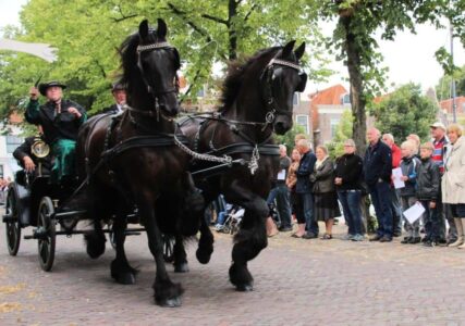 Ringrijden Blokzijl - foto aangeleverd (Foto Pixabay)