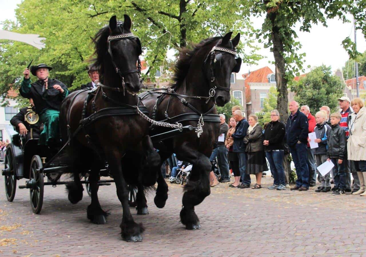 Ringrijden Blokzijl - foto aangeleverd (Foto Pixabay)
