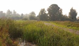 20140905-092010 kopie