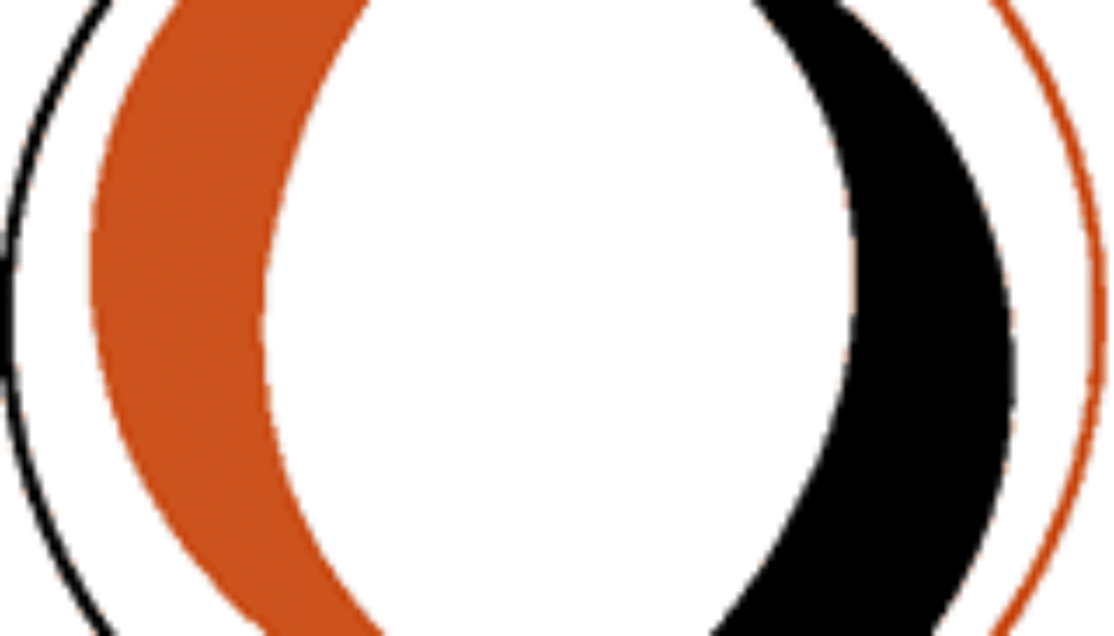 SV Steenwijkerwold logo
