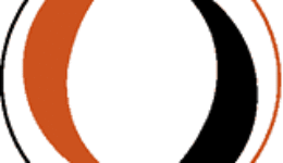 SV Steenwijkerwold logo