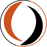 SV Steenwijkerwold logo