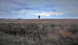 Jan Menger besteedt in zijn regiofilms aandacht aan de prachtige natuur rondom Lhee