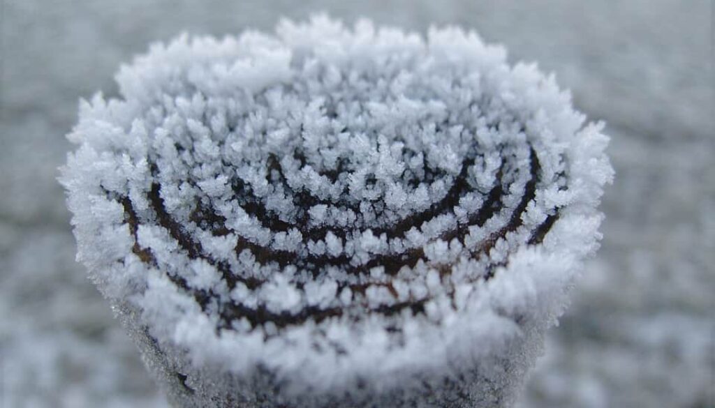 winter (Foto Pixabay)