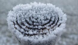 winter (Foto Pixabay)