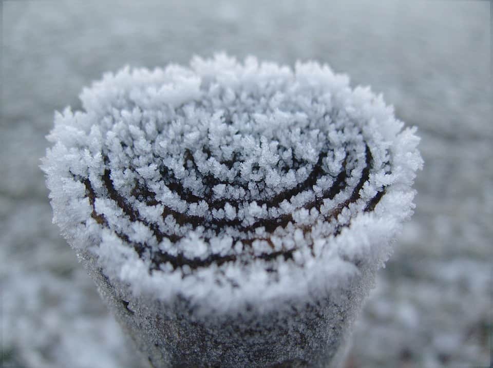 winter (Foto Pixabay)