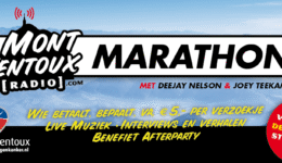 Banner MVT Radio 2016