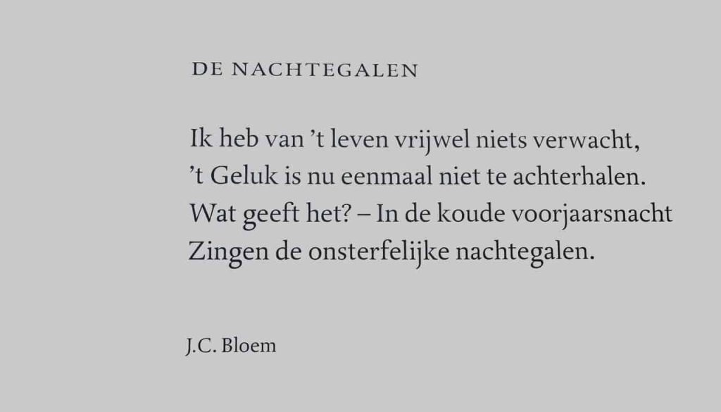 bloem (Foto Pixabay)