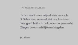 bloem (Foto Pixabay)