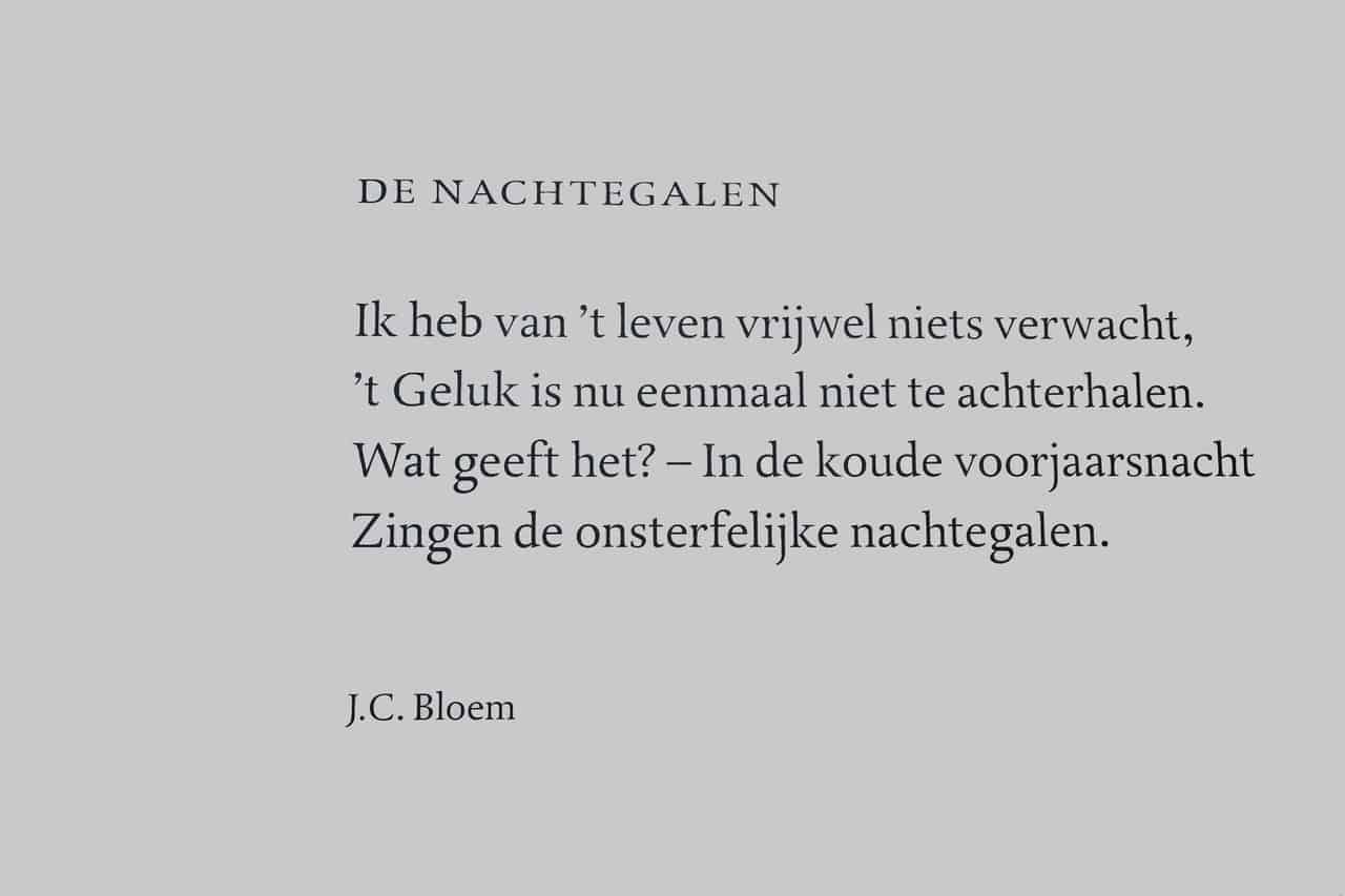 bloem (Foto Pixabay)