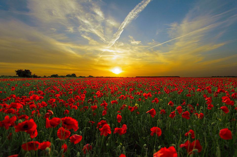zon (Foto Pixabay)
