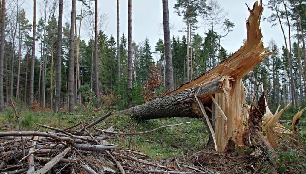 storm (Foto Pixabay)