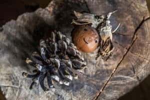 Leuke kinderactiviteiten in  Buitencentrum De Weerribben