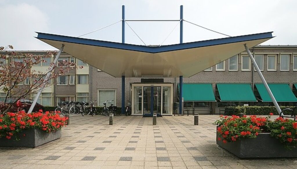 image-.jpg