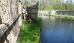 wessel, scherm, hond2(Large)