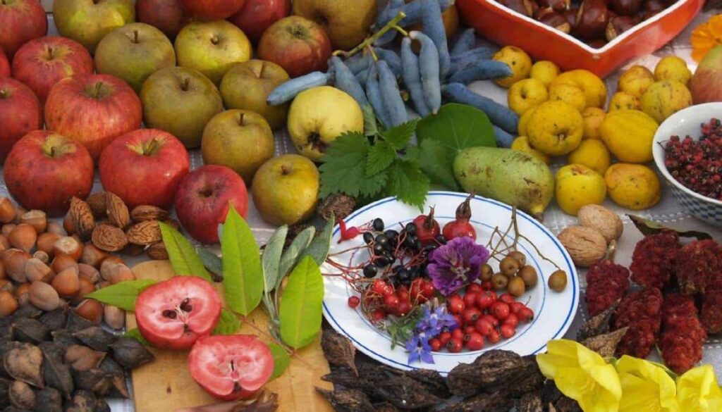 fruit