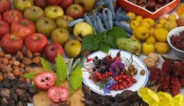 fruit