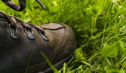 wandelschoenen