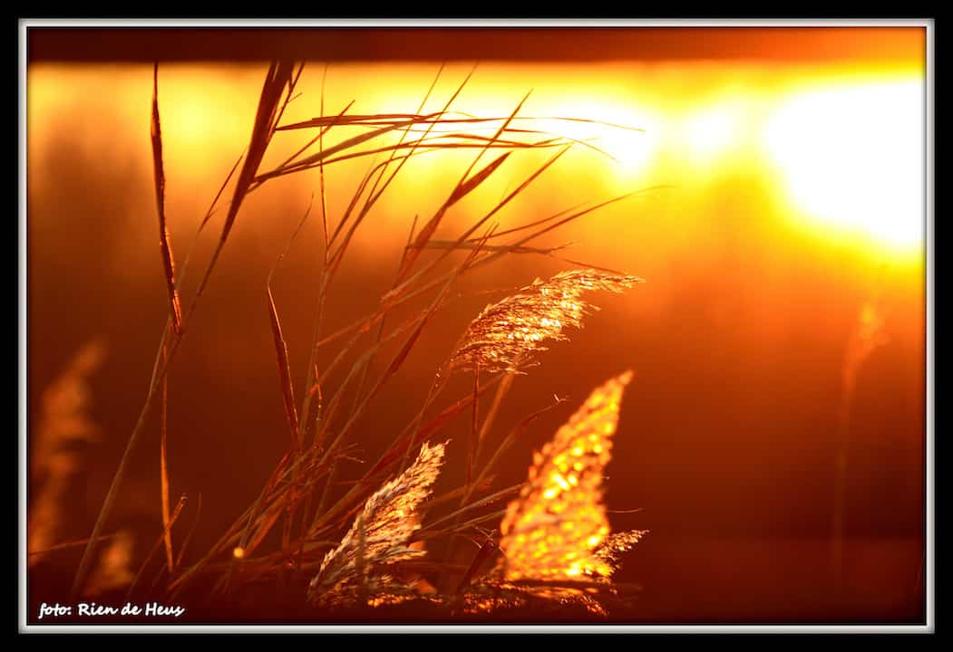 avondzon