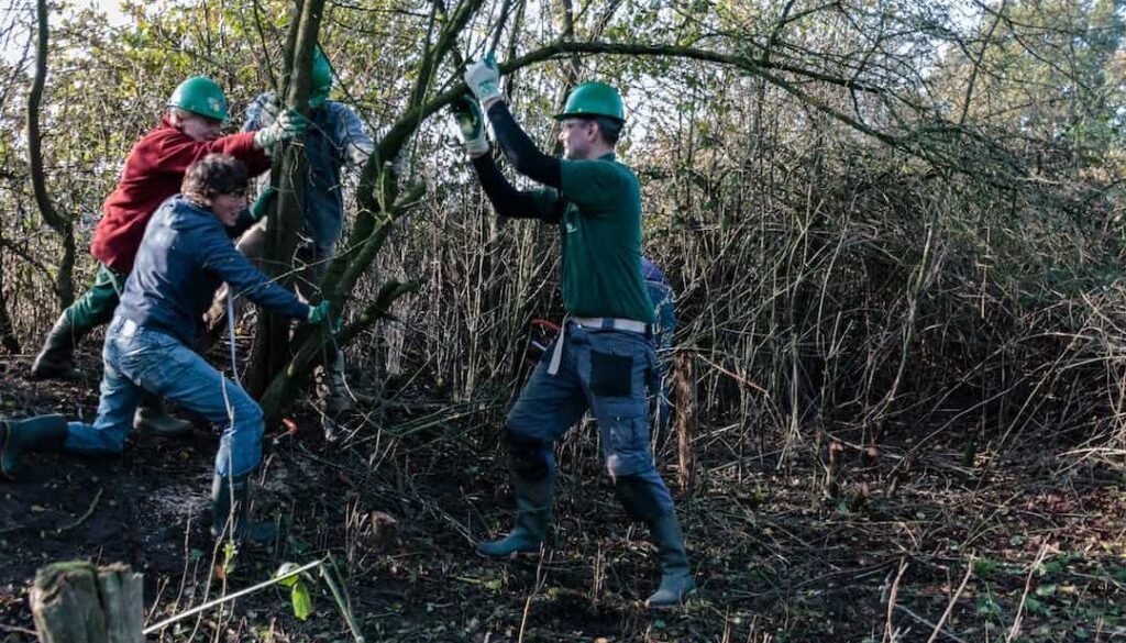 Natuurwerkdag 2017 Hoogveengebied Aamsveen
