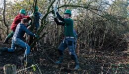 Natuurwerkdag 2017 Hoogveengebied Aamsveen