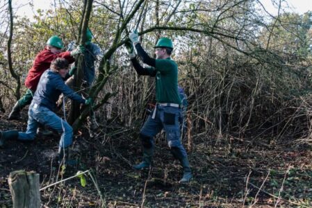 Natuurwerkdag 2017 Hoogveengebied Aamsveen
