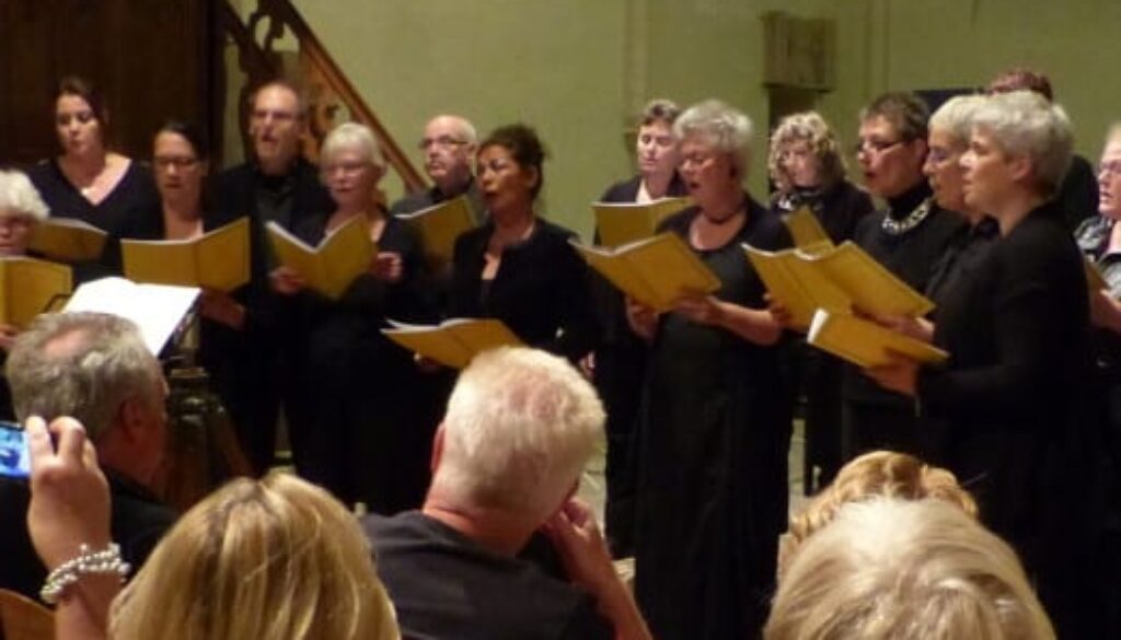 Concert_Matricale_2013_10_261