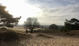 KaleDuinen_voorlopen1-12-18_IMG_E0941